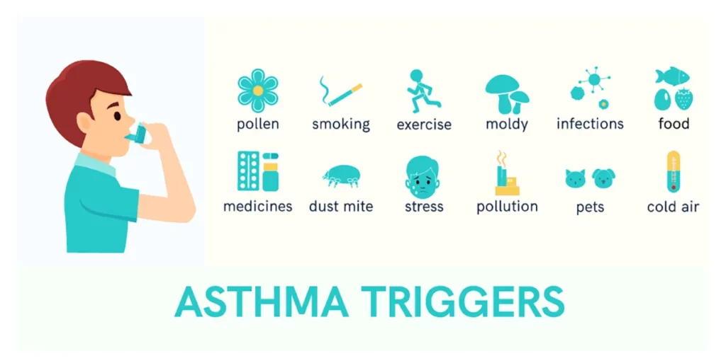 Asthma triggers