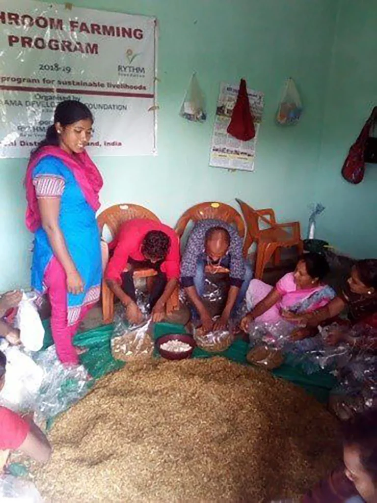 RYTHM Foundation: Women learning how to cultivate mushrooms