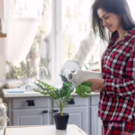 5 Practical Ways to Reuse RO Water at Home