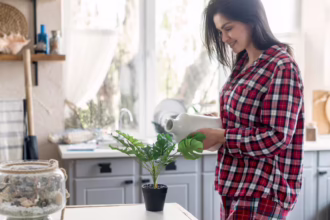 5 Practical Ways to Reuse RO Water at Home